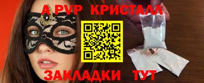 спиды Кингисепп