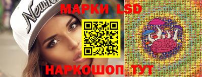спиды Кингисепп