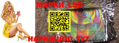 спиды Кингисепп