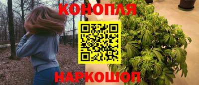 jwh Кинель
