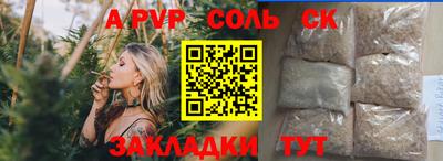 спиды Кингисепп