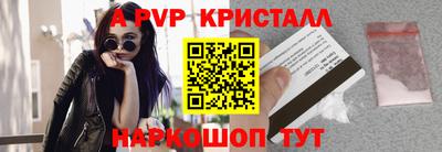 спиды Кингисепп