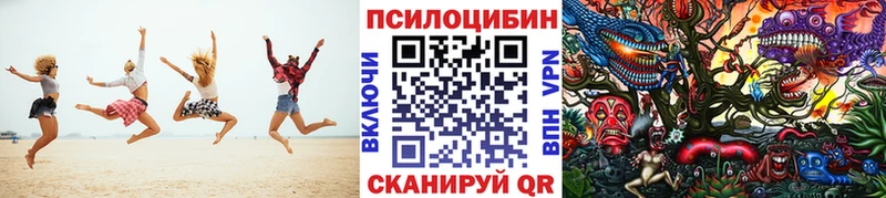 как найти закладки  Красноярск  Псилоцибиновые грибы GOLDEN TEACHER 