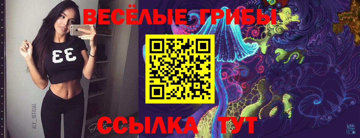 Галлюциногенные грибы Psilocybe Красноярск